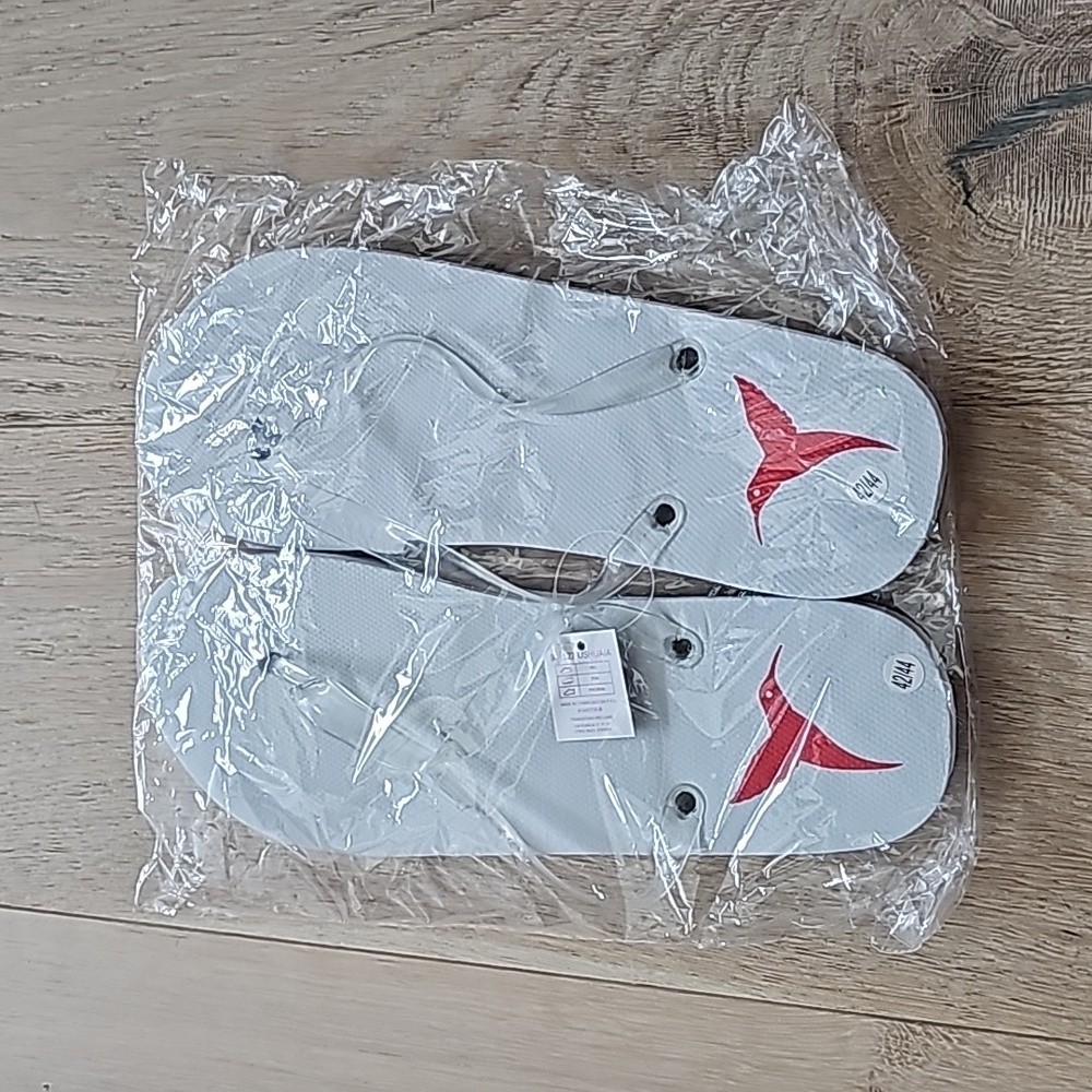 NWOT Ushuaia Hotel Ibiza Flip Flops